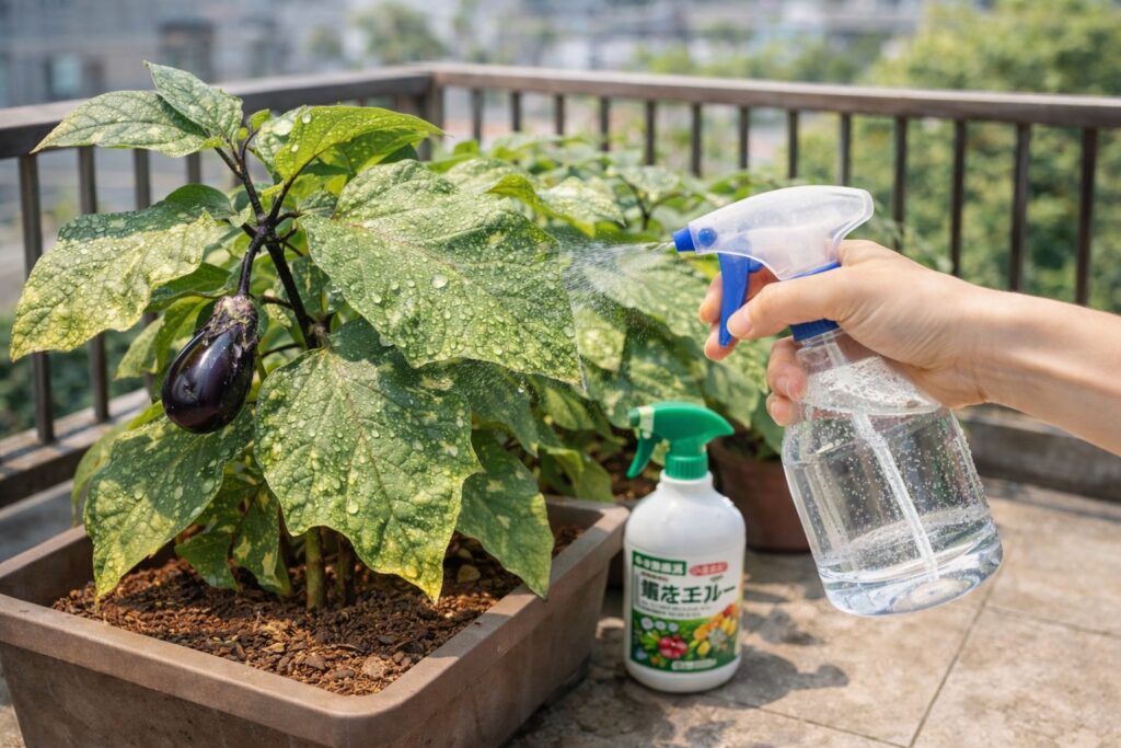 「ナスの葉に白い斑点!?」原因はハダニかも?今すぐできる駆除と予防法を解説! | やさしい家庭菜園ラボ